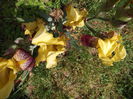 DSCF3783