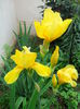 IMG_20150515_172621