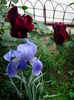 IMG_20150515_173111