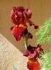 IMG_20150519_104951