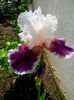 IMG_20150519_105114