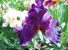 DSCN6874
