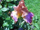 DSCN6863