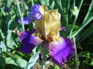 DSCN6850