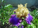 DSCN6871