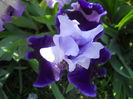 DSCN6842