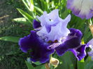 DSCN6844