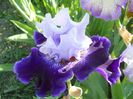 DSCN6845