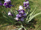 DSCF3786