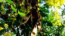 DSC00725