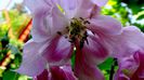 DSC00751