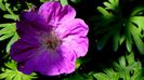 DSC00760