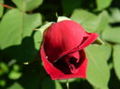 DSCN6689