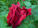 DSCN6748