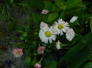 DSCN6759