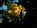 DSCN6760