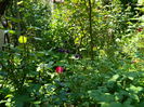 DSCN6766