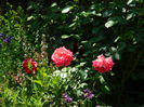 DSCN6775