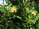 DSCN6793