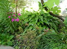 DSCN6802