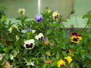 DSCN6843
