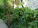 DSCN6846