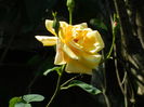 DSCN6875
