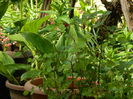 DSCN6879