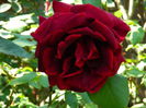 DSCN6901