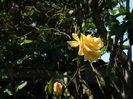 DSCN6906