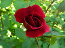 DSCN6922