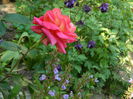 DSCN6927