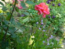 DSCN6928
