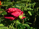 DSCN6932