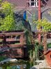 20150519_181918