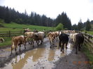 Pe drumul spre Dealul Alb-6