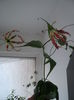 DSC08366