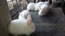 20150518_151703
