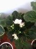 IMG_20150520_070638