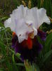 DSCN6895