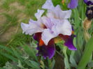 DSCN6897