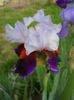 DSCN6898