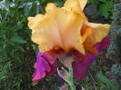 DSCN6925