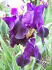 DSCN6930