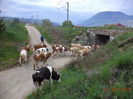 Trecem pe sub linie