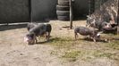 20150520_103157