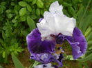 DSCN6977