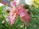 Roselene