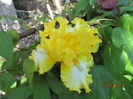 IMG_2395(24)