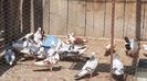 20150520_142841